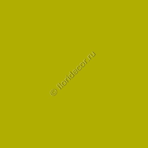 акриловая краска Stamperia  "Allegro", зеленые водоросли 