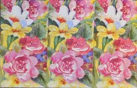 салфетка для декупажа, трехслойная, бумажная, 33х42 см., 1/2 (Punch Studio)  