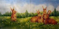 салфетка для декупажа, трехслойная, бумажная, 33х33 см., 1/2