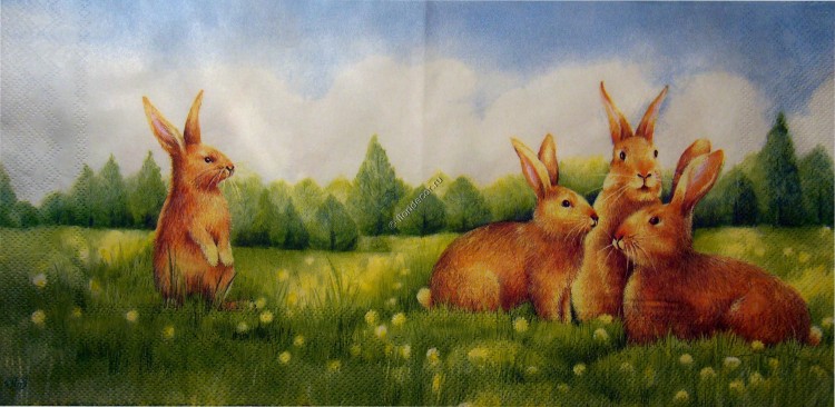 салфетка для декупажа, трехслойная, бумажная, 33х33 см., 1/2