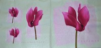 салфетка для декупажа, трехслойная, бумажная, 33х33 см., 1/2  