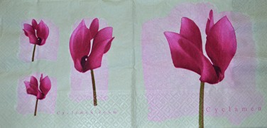 салфетка для декупажа, трехслойная, бумажная, 33х33 см., 1/2  