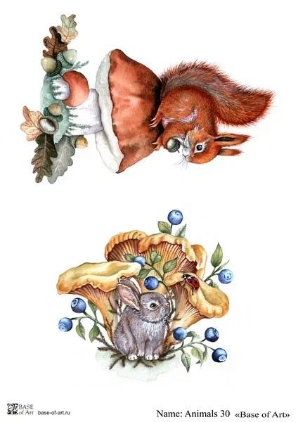 Декупажная карта Base Of Art "ANIMALS " №30, А4                     