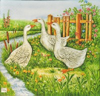 салфетка для декупажа, трехслойная, бумажная, 33х33 см., 1/4 