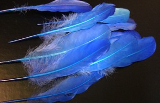 Перья декоративные, синие