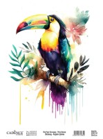 Рисовая бумага Cadence, 20 гр/кв.м. , Размер  30 х 41 см.            