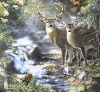 салфетка для декупажа, трехслойная, бумажная, 33х33 см., 1/4