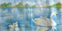 салфетка для декупажа, трехслойная, бумажная, 33х33 см., 1/2