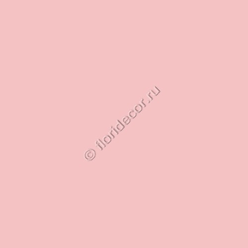 акриловая краска Stamperia "Allegro", пастельный розовый 