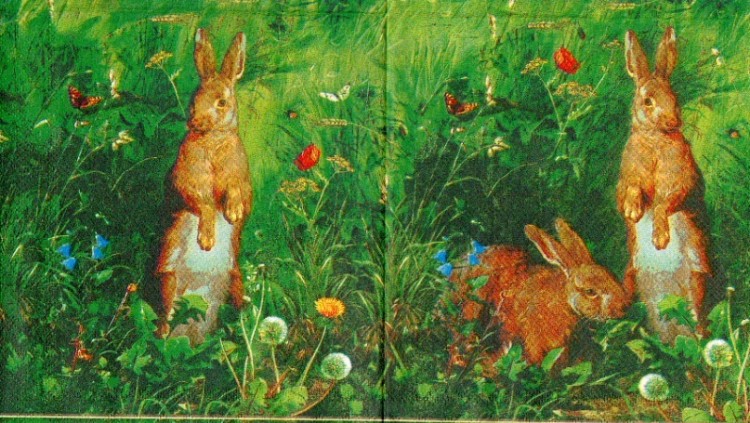 салфетка для декупажа, трехслойная, бумажная, 33 х 33 см., 1/2
