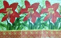 салфетка для декупажа, трехслойная, бумажная, 33х42 см., 1/2 (США)