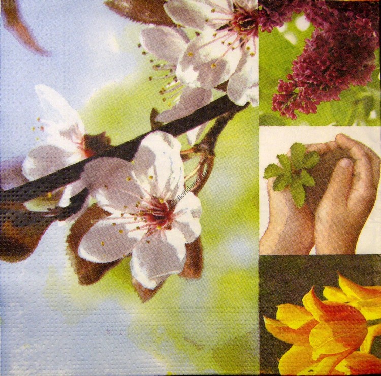 салфетка для декупажа, трехслойная, бумажная, 33х33 см., 1/4