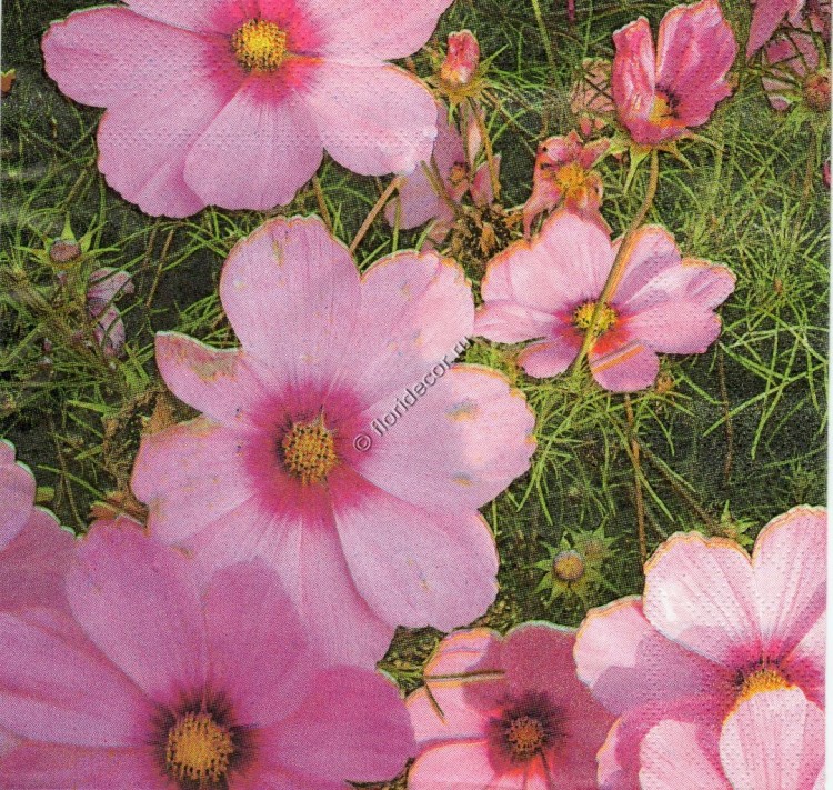 салфетка для декупажа, трехслойная, бумажная, 33х33 см., 1/4