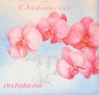 салфетка для декупажа, трехслойная, бумажная, 33х33 см., 1/4 