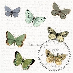 Пачка салфеток 25 х 25 (20 штук) (Vintage Design)