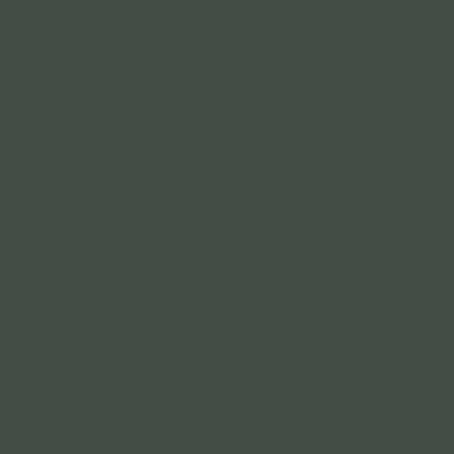 Краска акриловая Stamperia "Vivace", зеленый мох 