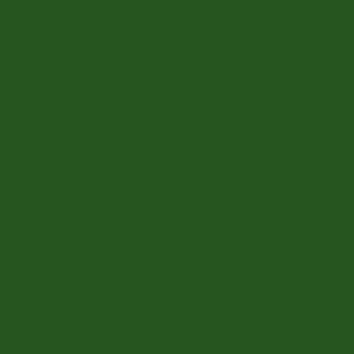 акриловая краска Stamperia "Allegro" натуральный зеленый 