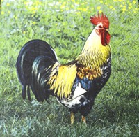 салфетка для декупажа, трехслойная, бумажная, 33х33 см., 1/4