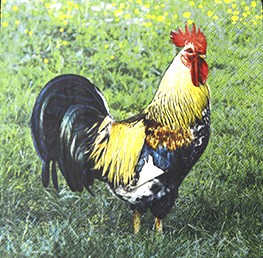 салфетка для декупажа, трехслойная, бумажная, 33х33 см., 1/4