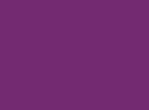 Морилка концентрированная Linea Arte, цвет - фиолетовый