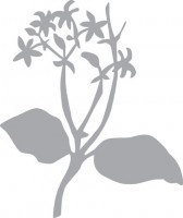Трафарет - маска  "Летний цветок"  