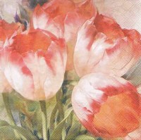 салфетка для декупажа, трехслойная, бумажная, 33 х 33 см., 1/4 (Ambiente) 