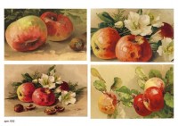 Переводная декупажная карта  для светлых поверхностей Freedecor   